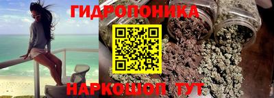 гашик Кунгур