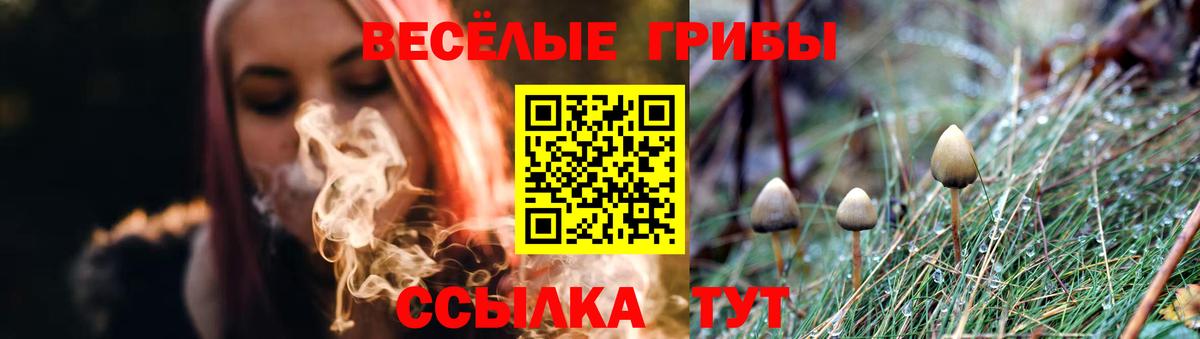Зерноград  Псилоцибиновые грибы Cubensis  Вход с VPN  Псилоцибиновые грибы GOLDEN TEACHER 
